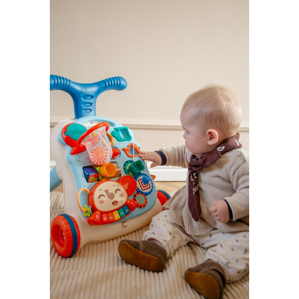 Eco Toys Study Desk Walker Blue Loopwagen
