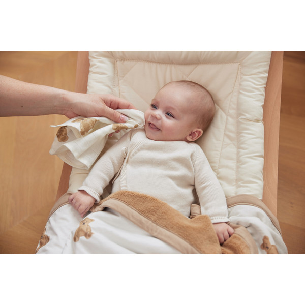 Jollein Jersey Teddy Bear 75 x 100 cm Wiegdeken 513-511-66095