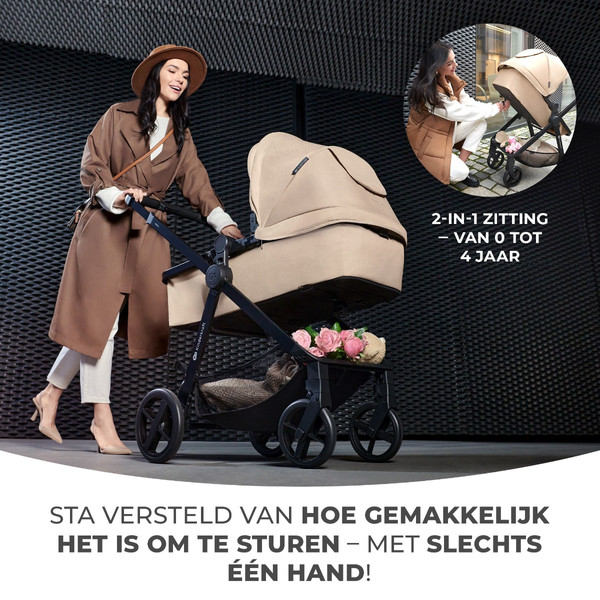 4 in discount 1 buggy