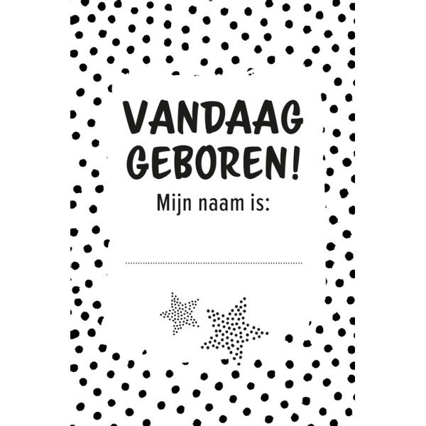 Lantaarn Baby's Eerste Jaar Bijzondere Momenten Boekbox