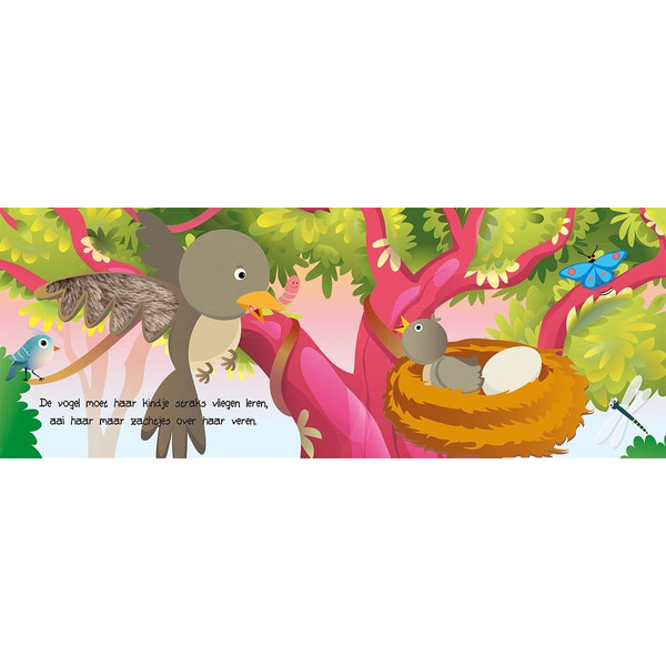 Lantaarn Kijk En Voel Natuur Boek