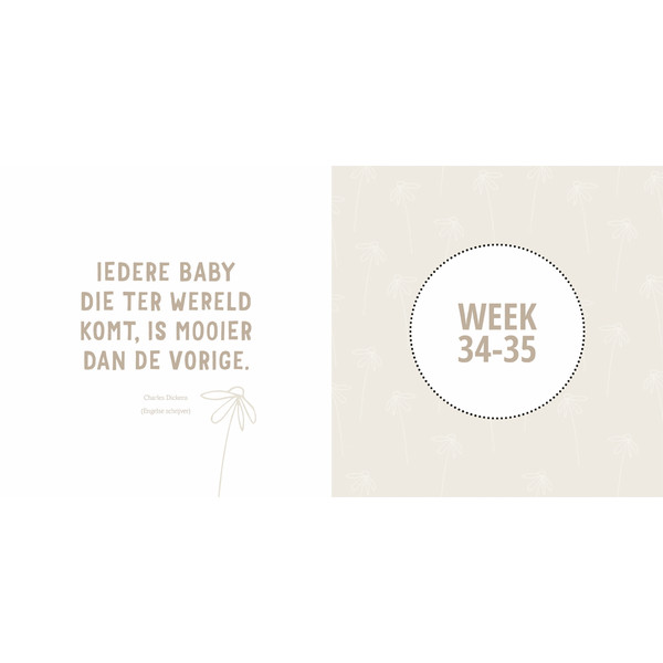 Lantaarn Mijn Negen Maanden Babyboek