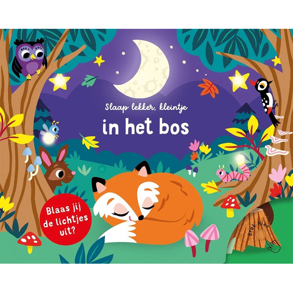 Lantaarn Slaap Lekker Kleintje In Het Bos Kinderboek