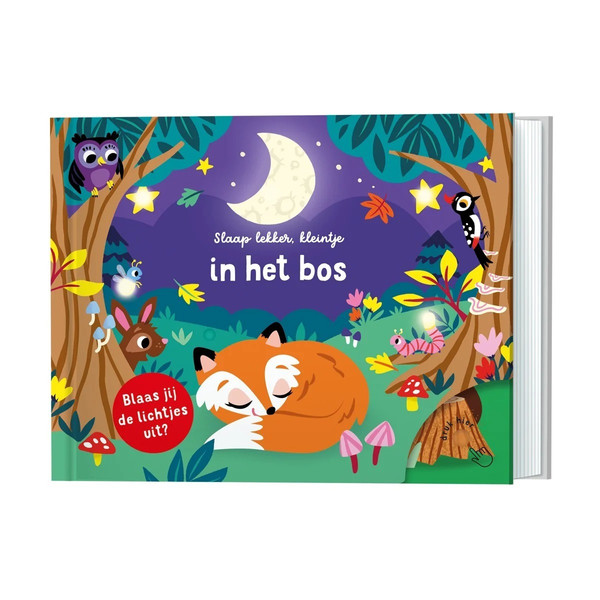 Lantaarn Slaap Lekker Kleintje In Het Bos Kinderboek