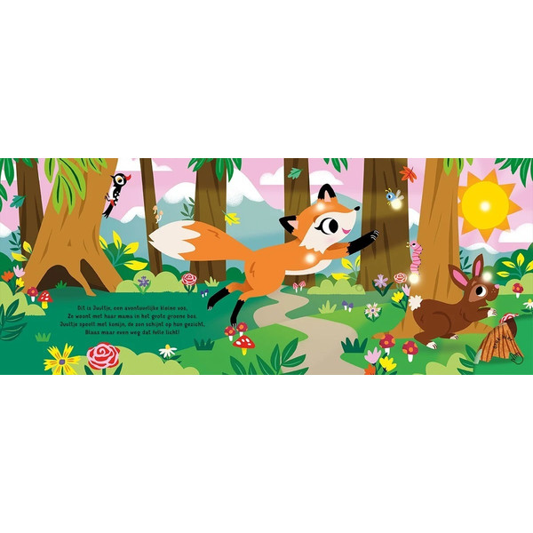 Lantaarn Slaap Lekker Kleintje In Het Bos Kinderboek