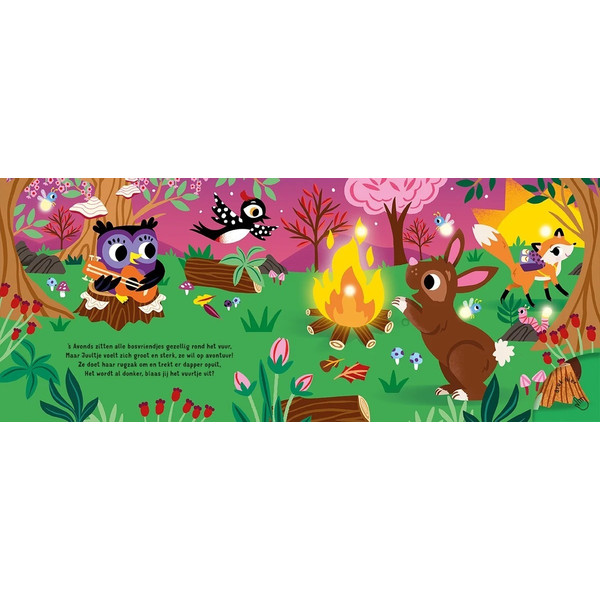 Lantaarn Slaap Lekker Kleintje In Het Bos Kinderboek