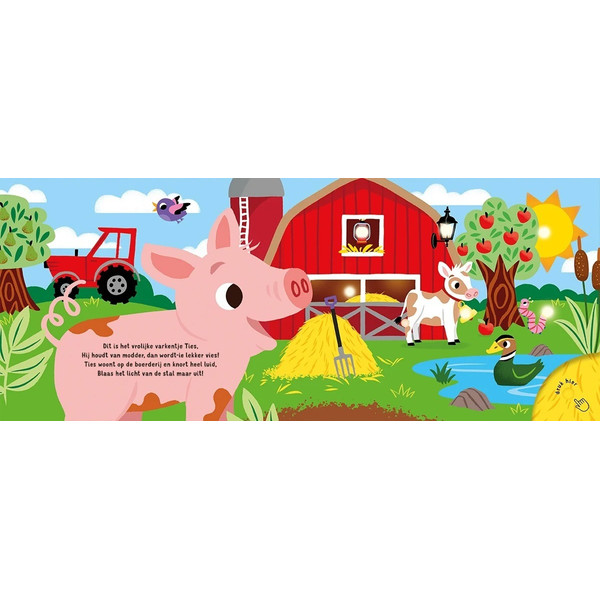 Lantaarn Slaap Lekker Kleintje Op De Boerderij Kinderboek