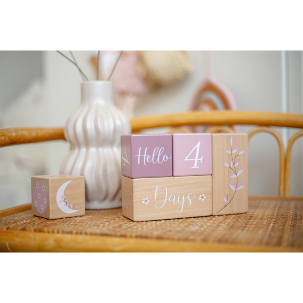 Label Label Roze Houten Mijlpaalblokken LLWT-10442