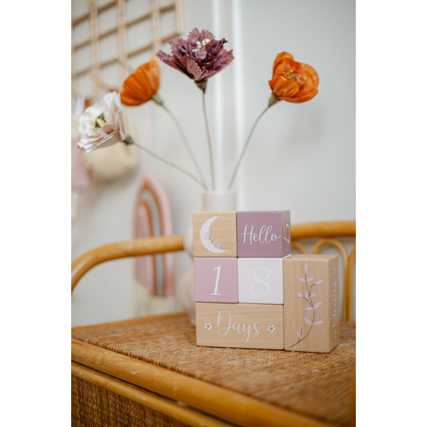 Label Label Roze Houten Mijlpaalblokken LLWT-10442