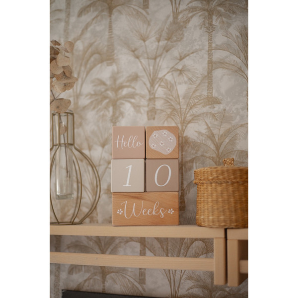 Label Label Nougat Houten Mijlpaalblokken LLWT-10459