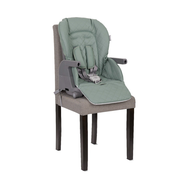 Lorelli Chef Green 3-in-1 Kinderstoel 1010052-2504