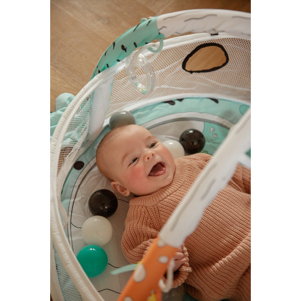 MamaLoes Kikker 3-in-1 Speelkleed/Ballenbak