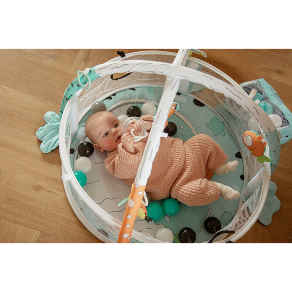 MamaLoes Kikker 3-in-1 Speelkleed/Ballenbak