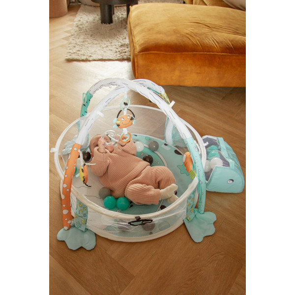 MamaLoes Kikker 3-in-1 Speelkleed/Ballenbak