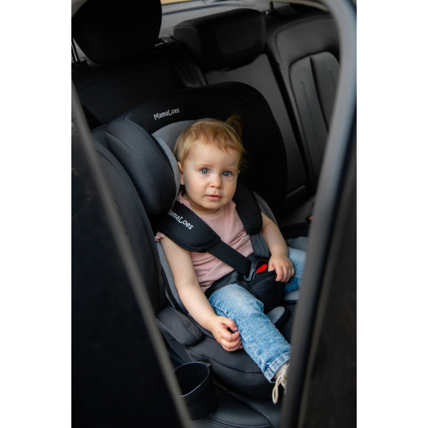 MamaLoes Mick Zwart/Grijs Isofix 76-150 cm i-Size Autostoel - Set van 2