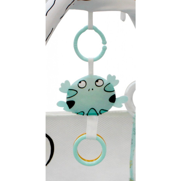 MamaLoes Kikker 3-in-1 Speelkleed/Ballenbak