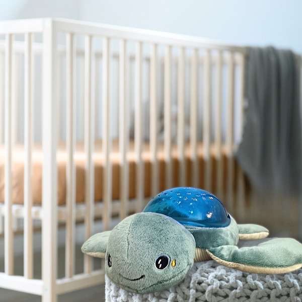 Pabobo Aqua Effect Turtle Babyprojector AAQ02R-TURTLE
