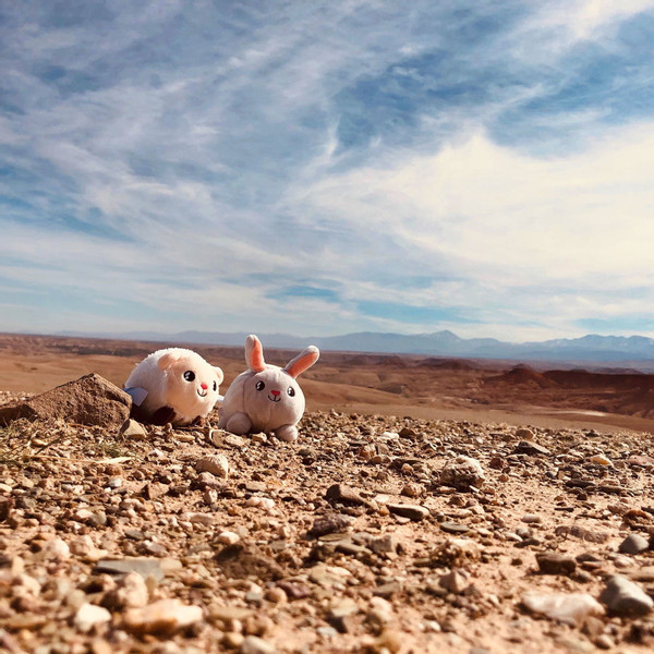 Pabobo Shakie Konijn Draagbaar Nachtlampje PA-SHA-RABBIT