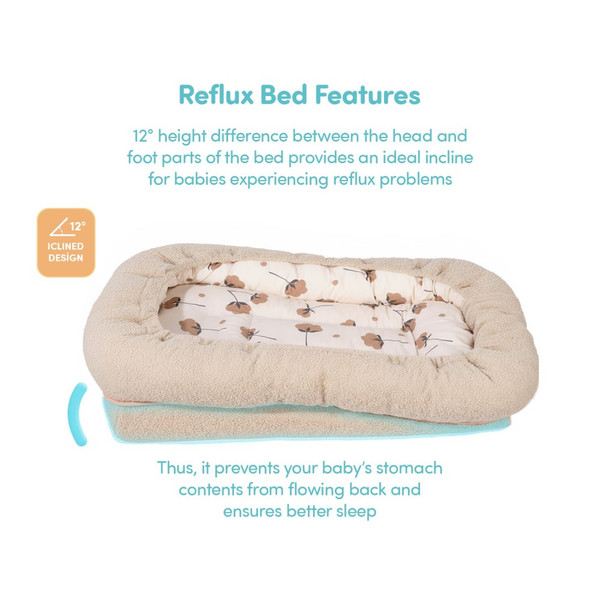 Sevibaby Ecru Teddy Reflux Babynest