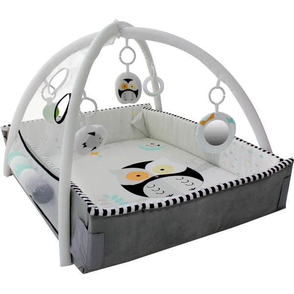5 in 1 ball activity play gym store