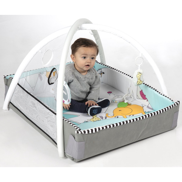 Tryco 5 in 1 Lovely Park Ball Play Activity Gym Speelkleed TR 140202