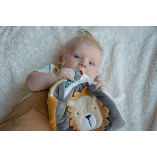 Tryco Jungle Activiteiten Buggyboek TR-243301