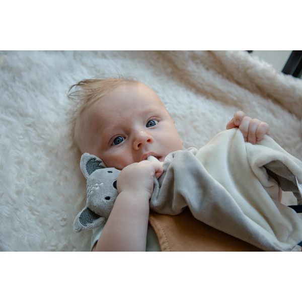 Tryco Koala Kyle Knuffeldoek TR-243307