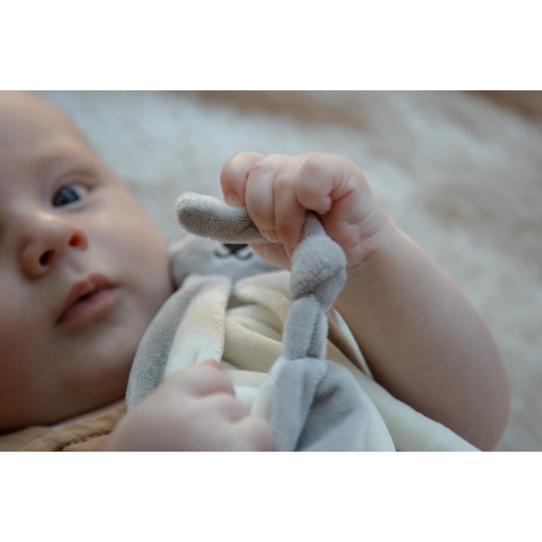 Tryco Koala Kyle Knuffeldoek TR-243307