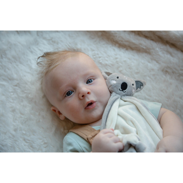 Tryco Koala Kyle Knuffeldoek TR-243307