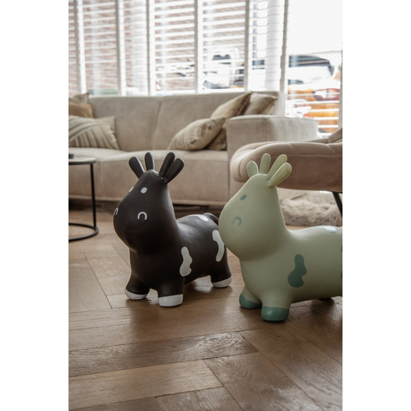 Tryco Stonegreen Skippykoe TR-902744