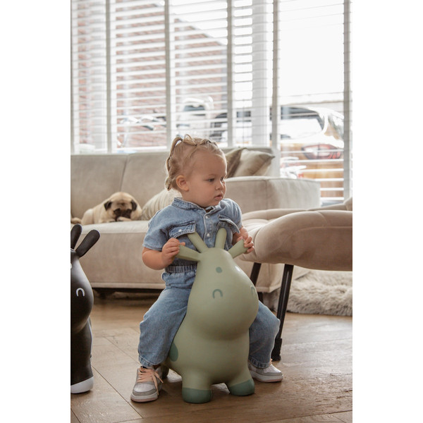Tryco Beige Skippykoe TR-902768
