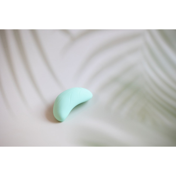 Youha Vibratie Borstmassage Apparaat YH-4001
