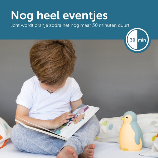Zazu Pam de Pinguin Blauw 3 in 1 Slaaptrainer ZA-PAM-02