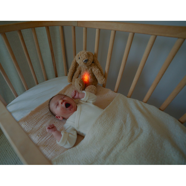 Zazu Ro het Konijn Beige Knuffel met Nachtlampje ZA-RO-01