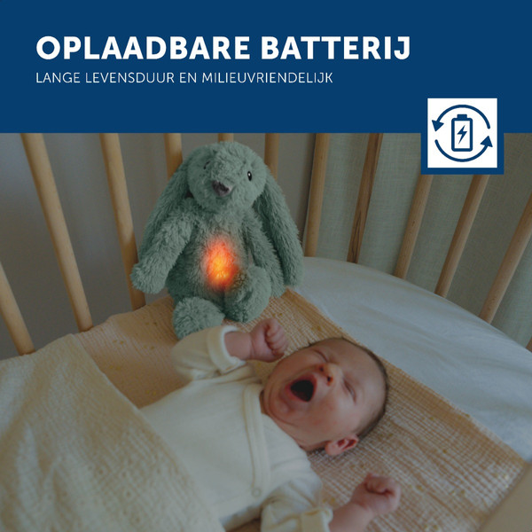Zazu Ro het Konijn Green Knuffel met Nachtlampje ZA-RO-02