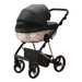 Adamex Quantum Star Black/Bronze 2-in-1 Kinderwagen 101-K-ECO