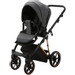 Adamex Belissa Special Edition Grey/Rose 2-in-1 Kinderwagen PS-596