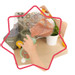 Badabulle 15 Stuks Herbruikbare Knijpzakjes B004500