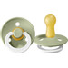 Bibs Sage/Cloud Glow in the Dark 6-18 mnd 2 Stuks Fopspeen 120267