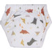 Blush & Blossom Dinosaurus 36M+ Badstof Oefenbroekje TR-BB443460