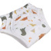 Blush & Blossom Dinosaurus 36M+ Badstof Oefenbroekje TR-BB443460