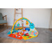 Bo Jungle Jungle Carnival Speelkleed Ballenbak B940100