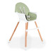 Cangaroo Gelato Green 2-in-1 Houten Kinderstoel