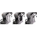 Ding Vivo Grey/Silver Wandelwagen DI-381702