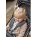 Ding Remi Black Wandelwagen DI-902829