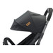 Ding Remi Black Wandelwagen DI-902829