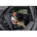Ding Noel Black Isofix 125-150 cm i-Size Booster