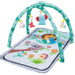 Eco Toys Animals Groen Speelkleed met Muziek CH93141
