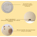 Eco Toys Capibara Nachtlampje HC721309