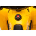 Eco Toys CAT Elektrische Kinder Quad H6